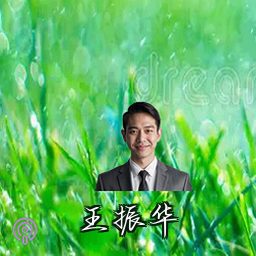 王振华